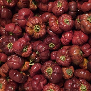Könnte beinhalten: Nahaufnahme eines Haufens roter, kürbisförmiger Paprika. Die Paprika haben eine tiefrote Farbe mit einer leicht runzeligen Textur. Die Stiele sind grün und die Paprika sind dicht gepackt.