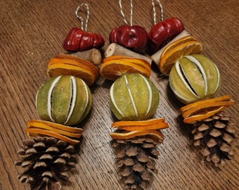 Handmade Natural Dried Fruit Hanging Decoration, Perfect For Christmas, Christmas Decor, Rustic Decor, Handmade, Natural, Organic