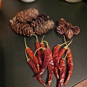 Naturkranz Herstellungsset: Getrocknete Früchte, Chili, Kiefernzapfen (50 Stück) Bild 4