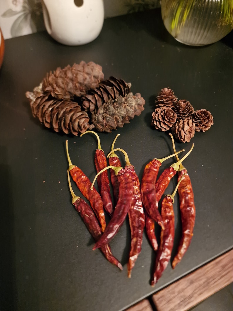 Naturkranz Herstellungsset: Getrocknete Früchte, Chili, Kiefernzapfen (50 Stück) Bild 4