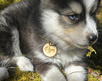 Médaille pour collier de chien personnalisée en bois