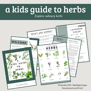 Guide des enfants sur l'activité d'apprentissage des herbes, cahier d'exercices imprimable de cuisine pour enfants à la maison, cartes mémoire et cartes en 3 parties,
