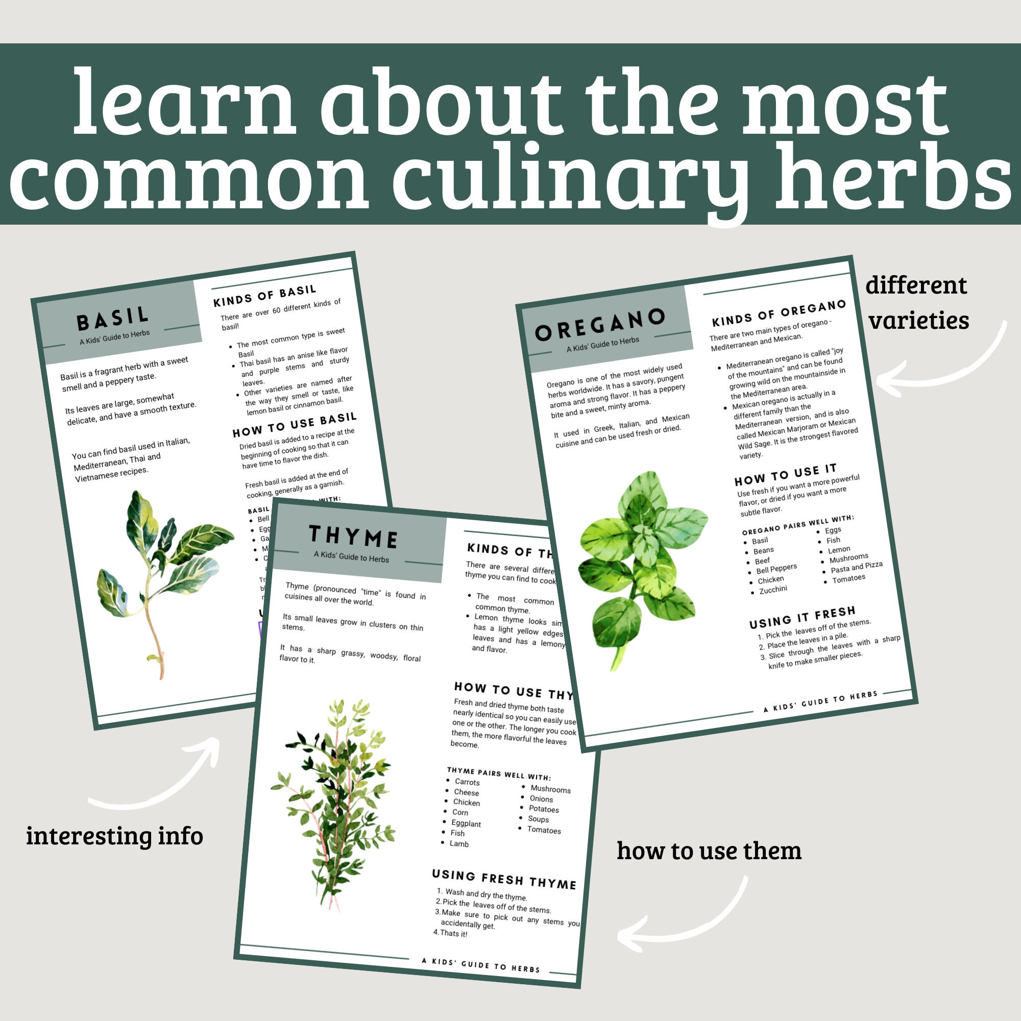 Kids Guide to Herbs Learning Activity, Kids Kitchen Homeschool ...
