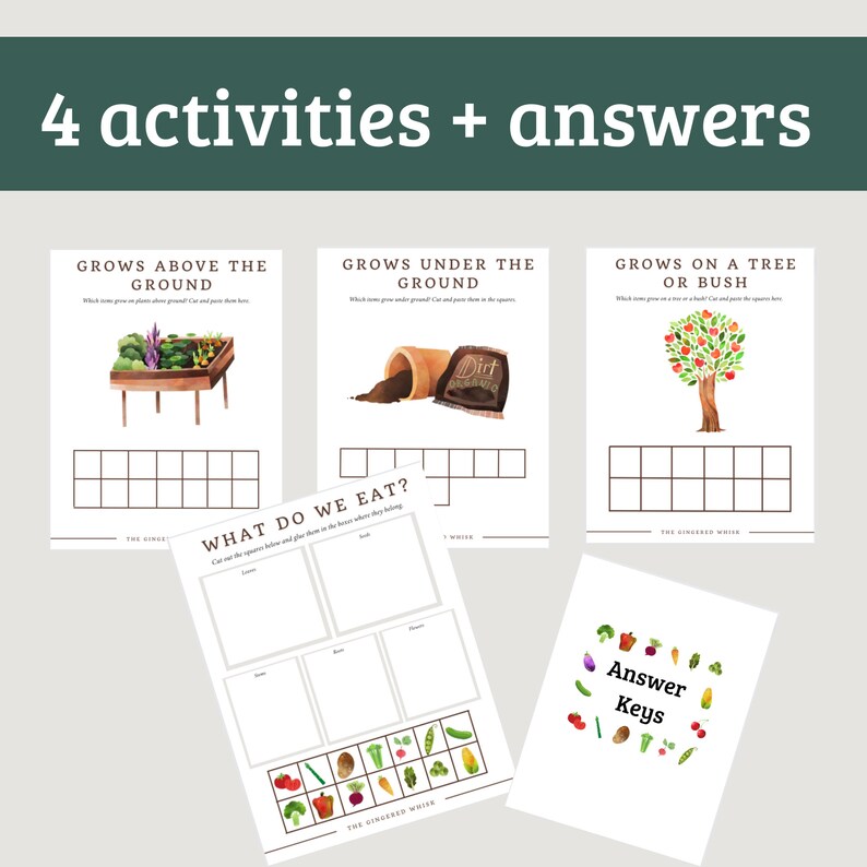 Where Do They Grow Food Sorting Activity Sheets - Etsy