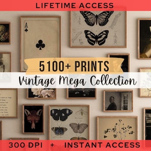 Puede incluir: Una colección de grabados vintage enmarcados, que incluyen retratos, ilustraciones botánicas y diseños de naipes. Los grabados se exhiben en una pared neutra, creando una estética de galería. El texto "5100+ PRINTS Vintage Mega Collection" es visible.
