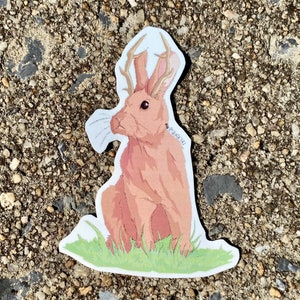 Jackalope Sticker