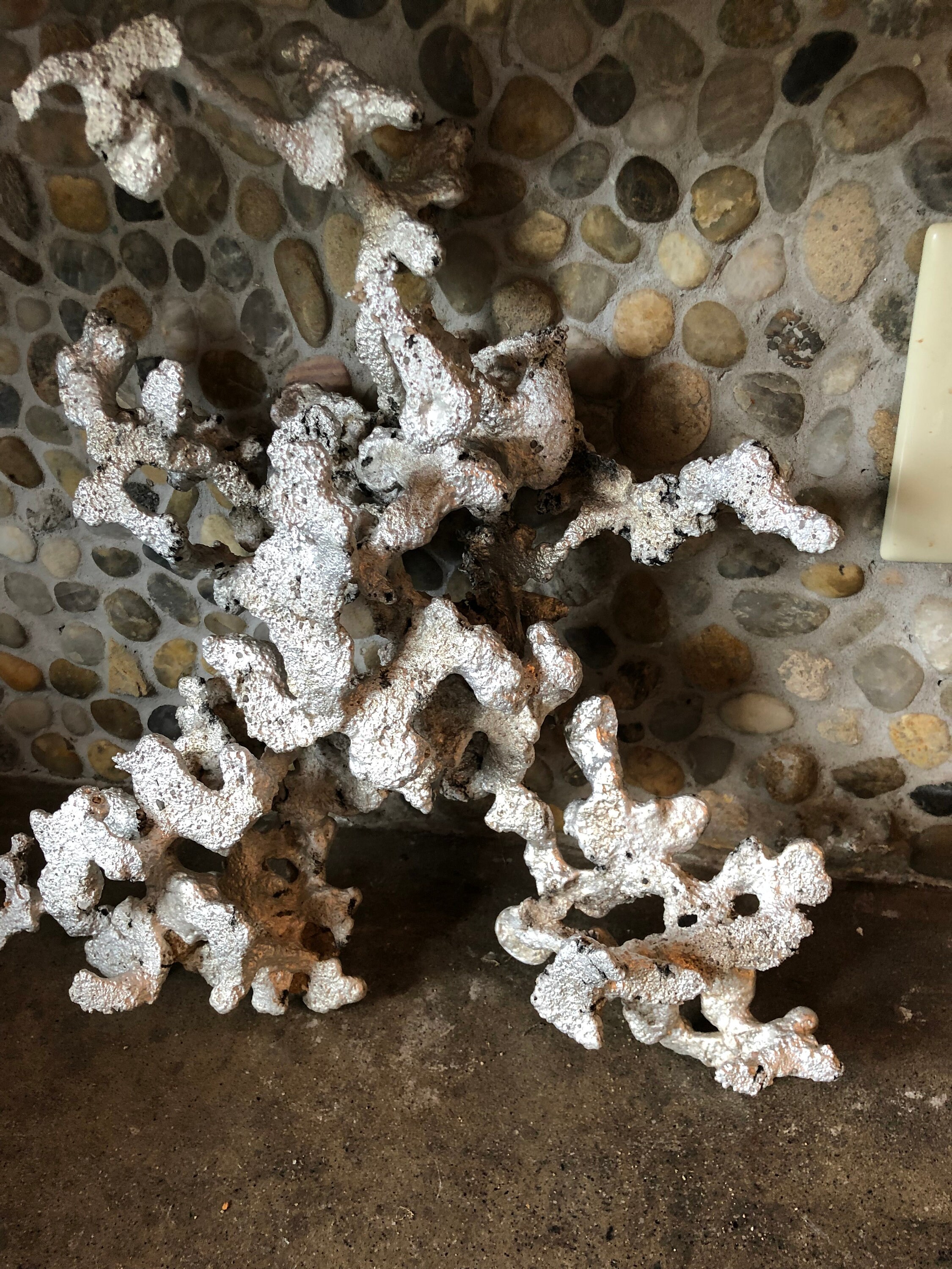 The Real Ant Farm Wild Kratts Wiki Fandom, 54% OFF