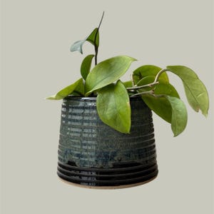 May include: A ceramic plant pot with a dark teal and black glaze, featuring horizontal ribbed detailing. The pot holds a green plant with large, oval leaves. The pot has a round base and a cylindrical shape, suitable for indoor plants.