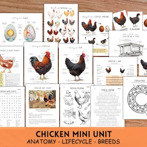 May include: A set of three ceramic mugs with a speckled, matte finish. The mugs are in shades of cream, light gray, and dark gray. Each mug has a simple, minimalist design and a rounded handle.