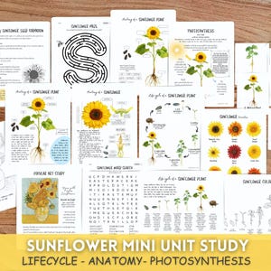 Sunflower Unit Study for Kids | Printable Life Cycle, Science Activities, Homeschool Nature Study PDF,Sunflower Anatomy Lifecycle, Fall Unit