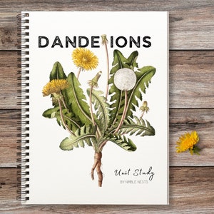 Puede incluir: Una cubierta de cuaderno con una ilustración de acuarela de dientes de león en diferentes etapas de floración. La cubierta tiene el título "DANDELIONS" y el texto "Unit Study by NIMBLE NESTS".