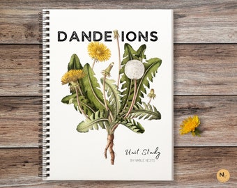 DANDELION unit study,Spring Activity,Plant anatomy,Flower unit,Homeschooling Spring learning,Charlotte Mason nature study,Flower anatomy