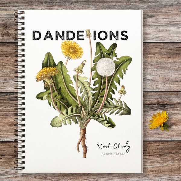 DANDELION unit study,Spring Activity,Plant anatomy,Flower unit,Homeschooling Spring learning,Charlotte Mason nature study,Flower anatomy