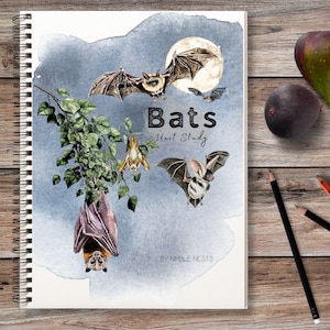 Fledermaus Einheit Studie, Fledermaus Anatomie Lebenszyklus, Herbst Herbst, Herbst, Herbst, Frühling, Herbst, Frühling, Fledermaus, Nachtaktives Tier, Fledermaus Poster, Tierstudie