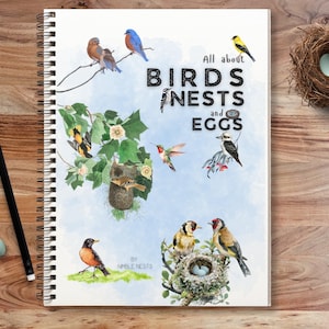 Estudio de la unidad sobre aves, estudio de nidos y huevos de aves, estudio de pájaros cantores de primavera, educación en el hogar inspirada en Charlotte Mason, aves que anidan para imprimir, tarjetas de aves de primavera
