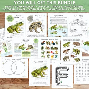 May include: A collection of educational printables featuring frogs and toads. The bundle includes anatomy, lifecycle, posters, coloring pages, a maze, a word search, Venn diagrams, and flash cards. The text on the top says "YOU WILL GET THIS BUNDLE".