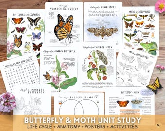Butterfly & Moth Unit Study: Monarch, Anatomy, Lifecycle, Caterpillars,Venn Diagram, Activities (PDF)