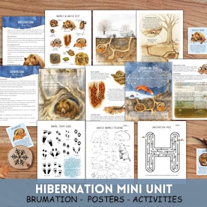 Onderzoek naar dieren in winterslaap: dieren in winterslaap, winterslaap, winterslaap dieren, thuisschool winteractiviteit afdrukbaar (pdf)