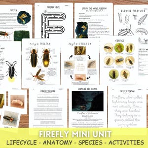 Firefly Unit Study: Anatomy, Lifecycle & Art (PDF Download)