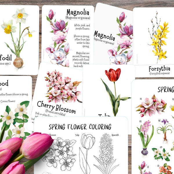 Spring Unit Study - Etsy
