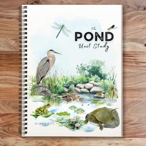 Puede incluir: Una ilustración de acuarela de un ecosistema de estanque con una garza, tortugas, libélulas y peces. El título "The Pond Unit Study" está escrito en texto negro sobre un fondo blanco. El texto "By Nimble Nests" está en la parte inferior de la página.