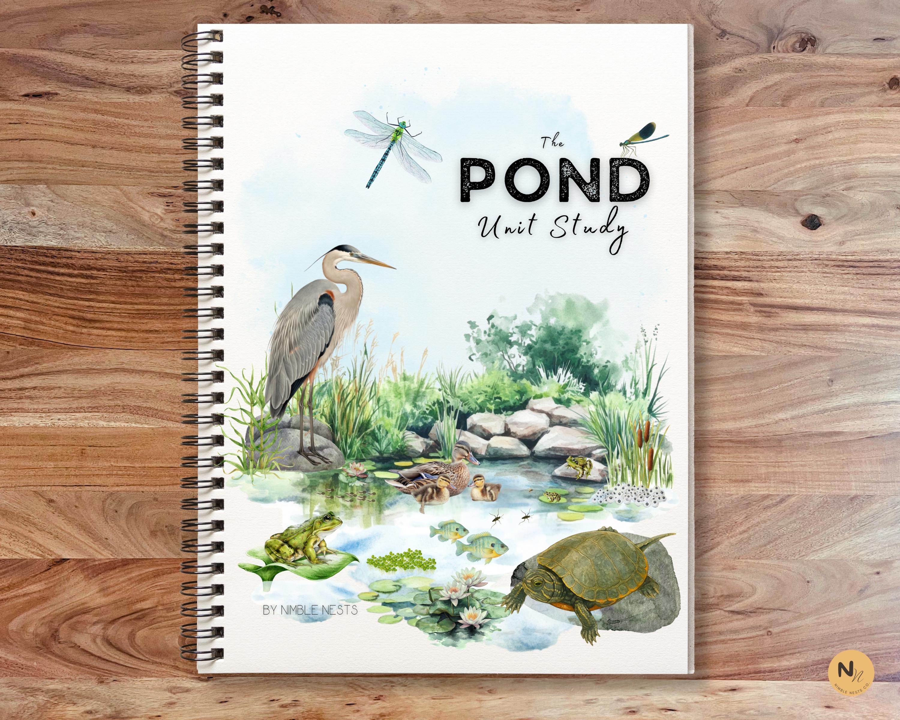 Pond Unit Study,Pond Eco system,Pond Biology,Frog Life cycle,Fish life cycle,Turtle Anatomy,Homeschool Nature Science study,Summer pond unit