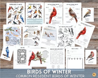 Winter Birds Flashcards: Backyard Study, Homeschool Printable (PDF)
