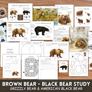 May include: A collection of educational materials for a bear study, including illustrations of brown and black bears, diagrams, and activity sheets. The materials feature the text "BROWN BEAR - BLACK BEAR STUDY" and "GRIZZLY BEAR & AMERICAN BLACK BEAR".