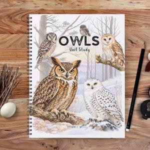 May include: A spiral-bound notebook titled OWLS Unit Study featuring a watercolor illustration of four different owl species in a winter forest setting, accompanied by a black pencil, a small felt owl ornament, and a round metal compass.