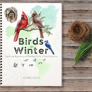 May include: A spiral bound book with a watercolor illustration of birds on a map of North America. The title of the book is "Birds in Winter: Exploring Migratory and Resident Birds of North America" by Nimble Nests.