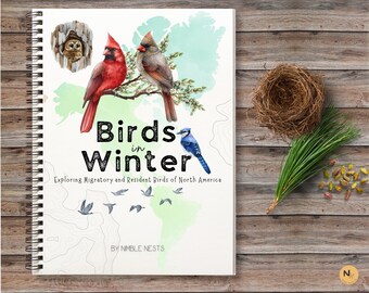 Birds in Winter Unit Study: Migratory Bird Anatomy (PDF)