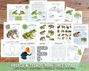 May include: A colorful educational mini unit study for kids about frogs and toads. The 20-page booklet includes life cycle, anatomy, and posters of frogs and toads. The pages feature illustrations of frogs and toads, as well as activities like word searches, mazes, and coloring pages.