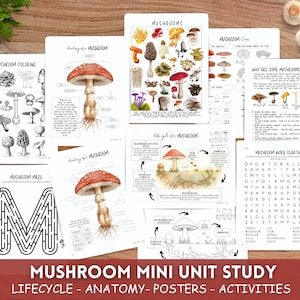 Könnte beinhalten: Eine Sammlung von Lernmaterialien zum Thema Pilze, darunter Ausmalbilder, Labyrinthe und Diagramme. Der Titel "Mushroom Mini Unit Study" ist unten abgebildet.
