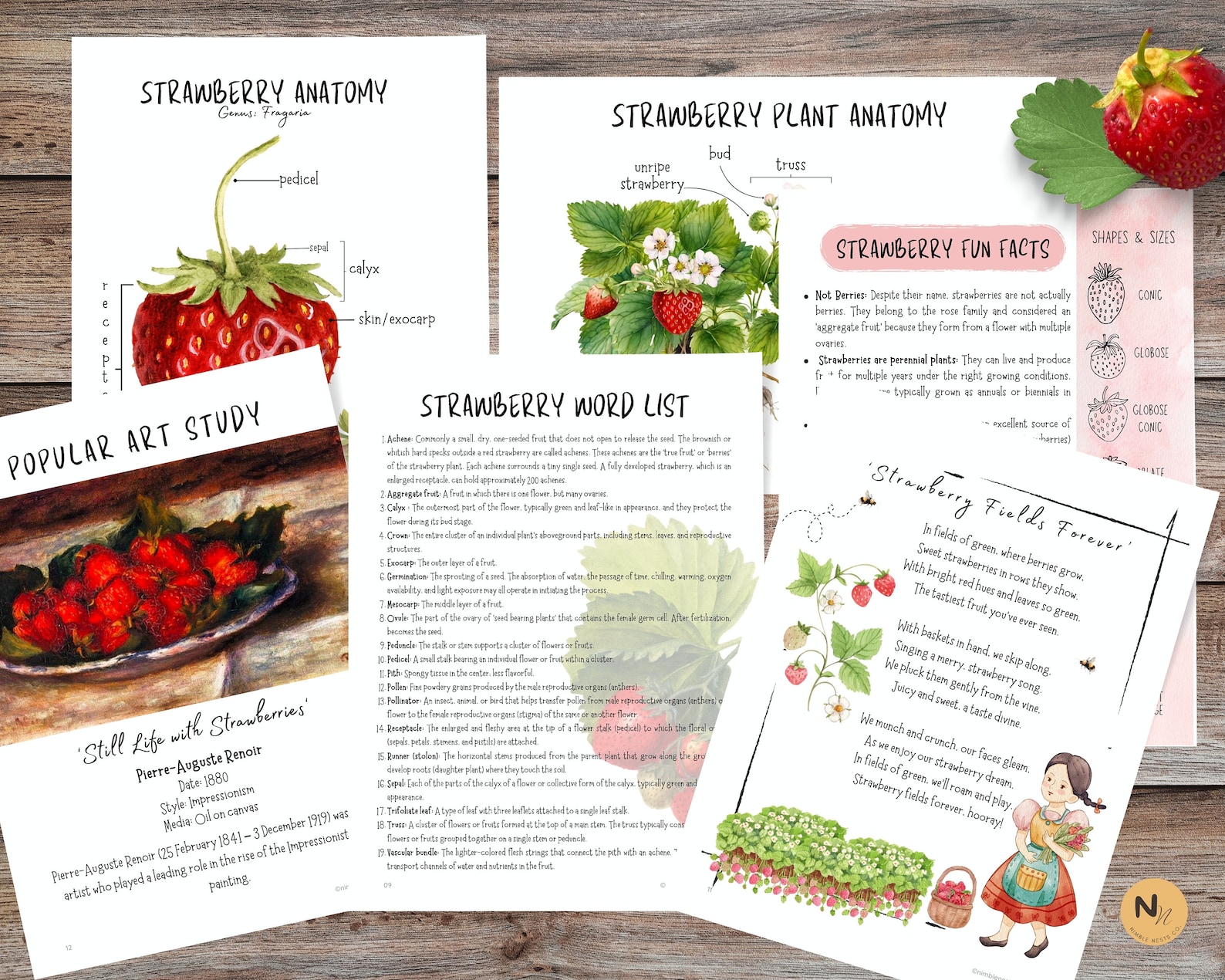 Strawberry Unit Study, Strawberry Anatomy, Strawberry Life Cycle,spring