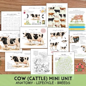 May include: A collection of educational printables about cows, including a word search, anatomy diagrams, lifecycle illustrations, and a cow maze. The pages feature detailed drawings and text, with a title at the bottom: "COW (CATTLE) MINI UNIT ANATOMY - LIFECYCLE - BREEDS."