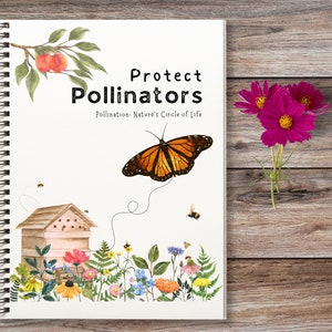 Pollination Homeschool Unit: Bees, Butterflies & Wildflowers (PDF)