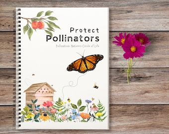 POLLINATION unit, Pollinators study, Summer Homeschool unit, Bees and Butterflies, Wildflowers study, Bee study, Pollination methods