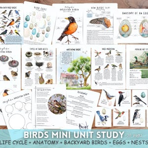 May include: A 30-page printable mini unit study about birds. The pages include illustrations of common backyard birds, bird eggs, nests, and the life cycle of an American Robin. The unit study also includes information about how birds fly, bird migration, and the anatomy of an egg.