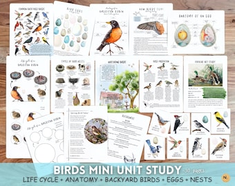 May include: A 30-page printable mini unit study about birds. The pages include illustrations of common backyard birds, bird eggs, nests, and the life cycle of an American Robin. The unit study also includes information about how birds fly, bird migration, and the anatomy of an egg.