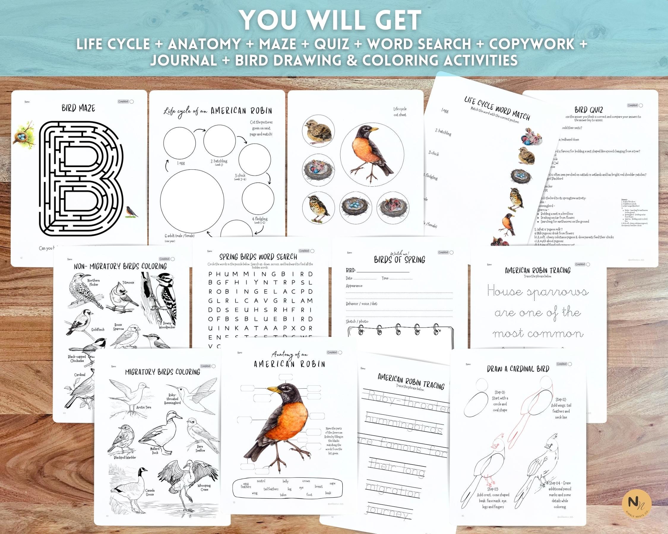 Spring Bird Unit Bird Unit Study: Spring Songbirds, Nests & Eggs (PDF) - Etsy
