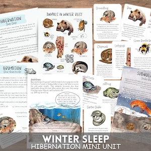 MINI pack Hibernation, Animaux endormis en hiver, Étude de l'unité d'hibernation hivernale pour l'école à la maison, Animaux endormis en hiver, Impression à la maison
