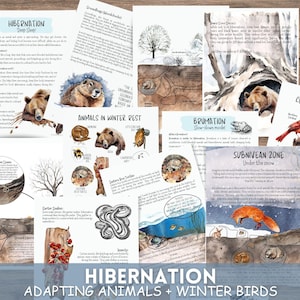 Hibernation Unit Study,Adapting Animals of winter study, Birds of winter,Homeschool Winter Printable, Charlotte Mason Nature Study