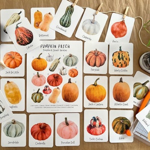 Carte di zucca, Varietà di zucca, Unità di studio autunnale, Schede flash di zucca, Apprendimento autunnale, Studio sulle patch di zucca, Unità didattica autunnale in casa