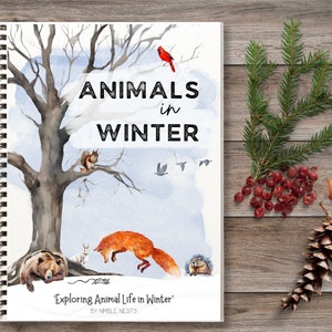 Animals in Winter,Hibernation study,Birds of winter,Winter homeschool printable ,Charlotte mason inspired winterunit study,Nature unit study