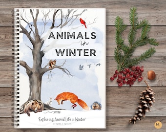 Animals in Winter,Hibernation study,Birds of winter,Winter homeschool printable ,Charlotte mason inspired winterunit study,Nature unit study