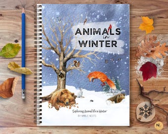 Hibernation Study: Animals in Winter, Bird Migration, Birds in Winter, Winter Sleep, Winter Unit Study, Animal winter survival study