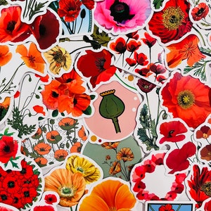 1 - 50 pcs Poppy Flower Stickers, party favor, stocking stuffer, gift for her, gardener, florist, bouquet, flower lover, scrapbook, journal