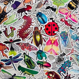 1 - 50 pcs Bugs Insects Stickers, party favor, piñata stuffer, stocking stuffer, kid gift, bug party, creepy, crawly