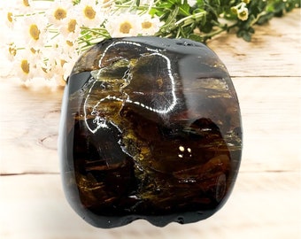 Genuine Sumatran Amber | Rare and Exquisite | Natural from Indonesia