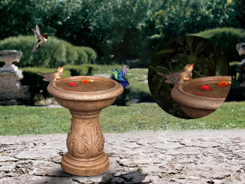 Vintage Victorian Style Bird Bath Sculpture Design Outdoor Etsy